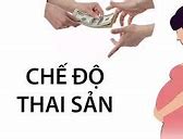 Cách Tra Cứu Hồ Sơ Bảo Hiểm Thai Sản