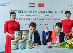 Cty Cp Dinh Dưỡng Quốc Tế Việt Mỹ