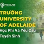 Học Phí Tiểu Học Adelaide Ma 3 Years Old